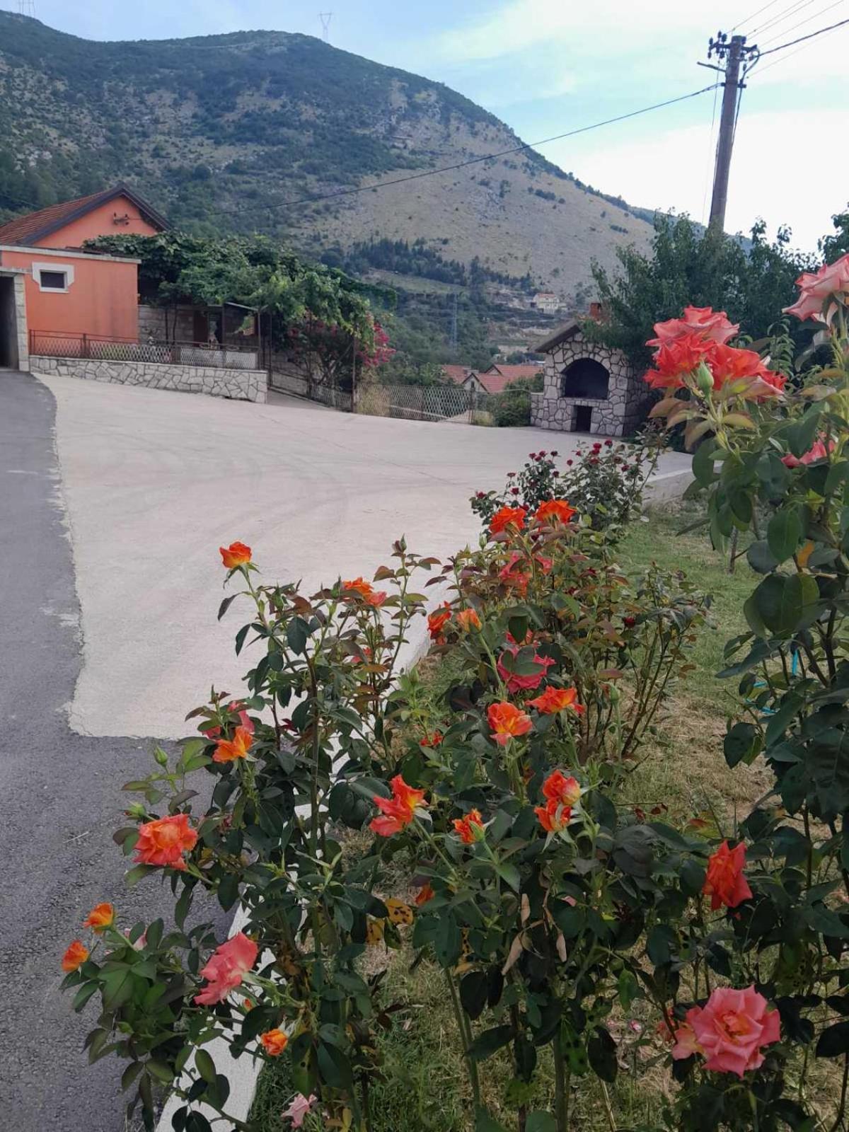 Apartman Vlacic Trebinje Exterior photo